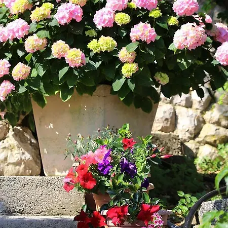 258b شقة